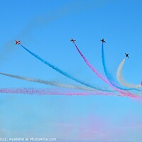Buy canvas prints of The Red Arrows  by Roy Curtis