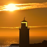Buy canvas prints of Godrevy Lighthouse Sunset. by Roy Curtis