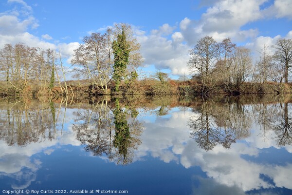 River Dart Reflections Picture Board by Roy Curtis