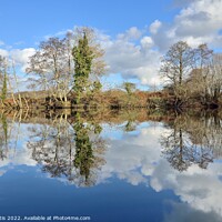 Buy canvas prints of River Dart Reflections by Roy Curtis