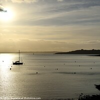 Buy canvas prints of St. Mawes Silhouette by Roy Curtis