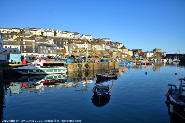 Mevagissey Harbour 1 Picture Board by Roy Curtis
