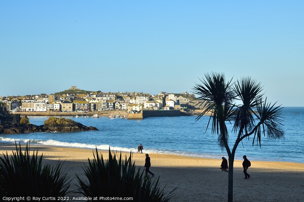 St. Ives - Sunshine, Shadow and Silhouettes. Picture Board by Roy Curtis