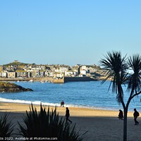 Buy canvas prints of St. Ives - Sunshine, Shadow and Silhouettes. by Roy Curtis