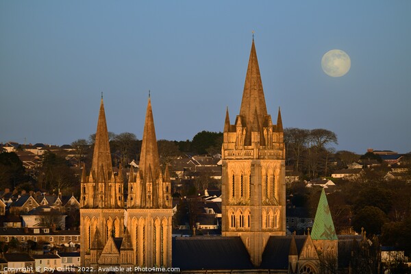 Truro Cathedral - The Wolf Moon Rising. Picture Board by Roy Curtis