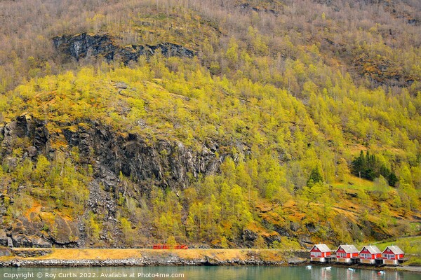 Flam - Houses on the Fjord. Picture Board by Roy Curtis