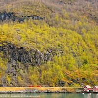 Buy canvas prints of Flam - Houses on the Fjord. by Roy Curtis