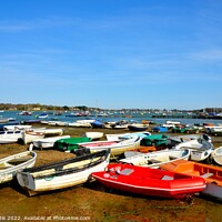 Buy canvas prints of Boats Boats Boats by Roy Curtis