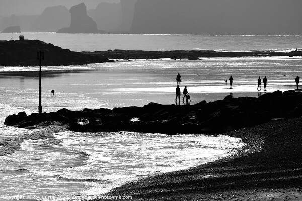 Sidmouth Silhouettes 2 Picture Board by Roy Curtis