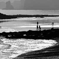 Buy canvas prints of Sidmouth Silhouettes 2 by Roy Curtis