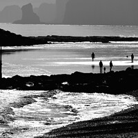 Buy canvas prints of Sidmouth Silhouettes 4 by Roy Curtis