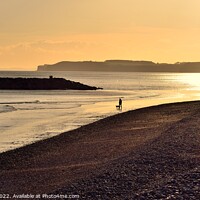 Buy canvas prints of Sidmouth 6 by Roy Curtis