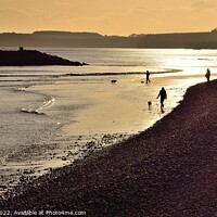 Buy canvas prints of Sidmouth 7 by Roy Curtis