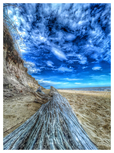 Cove Hithe Driftwood Beach Picture Board by johnny weaver