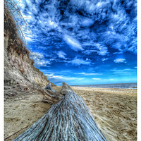 Buy canvas prints of Cove Hithe Driftwood Beach by johnny weaver