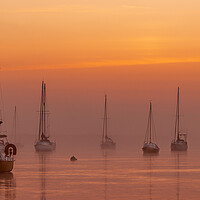 Buy canvas prints of Morning Sunrise Line Up  by johnny weaver