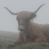 Buy canvas prints of Highland mist by Jim Butler