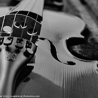 Buy canvas prints of Monochrome Violin  by Jim Butler