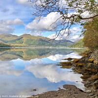 Buy canvas prints of Loch Goil from Stuckbeg by Tim King