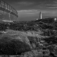 Buy canvas prints of St Marys Lighthouse by Duncan Spence