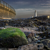 Buy canvas prints of St Mary's Lighthouse by Duncan Spence