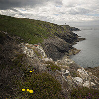 Buy canvas prints of Strumble Head Point by Duncan Spence