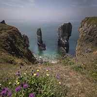 Buy canvas prints of Elegug Stacks by Duncan Spence