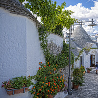 Buy canvas prints of Trulli Gorgeous by Duncan Spence