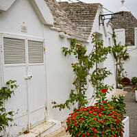Buy canvas prints of Tulli Houses of Alberobello by Duncan Spence