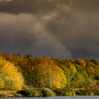 Buy canvas prints of Stormy colours, Cotgrave country park by David McGeachie