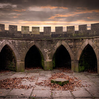 Buy canvas prints of Majestic ruins of Newstead Abbey by David McGeachie