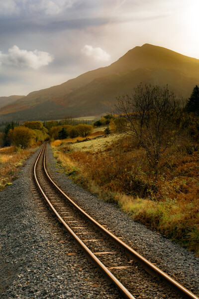 Welsh highland railway. Snowdonia  Picture Board by David McGeachie