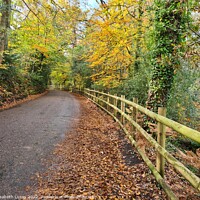 Buy canvas prints of Road by Bystock Pools by Elisabeth Lucas