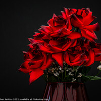 Buy canvas prints of Red Roses by Stephen Jenkins