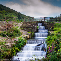 Buy canvas prints of Margam Country Park by Stephen Jenkins