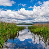 Buy canvas prints of Kenfig Nature Reserve  by Stephen Jenkins