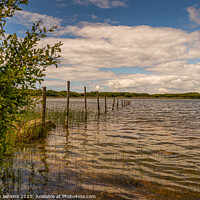 Buy canvas prints of  Kenfig Nature Reserve  by Stephen Jenkins