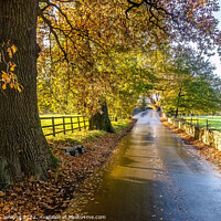 Buy canvas prints of Autumn colours at Merthyr Mawr in Wales by Stephen Jenkins