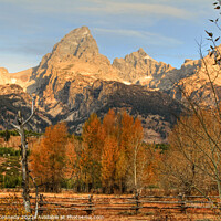 Buy canvas prints of Sunrise on the Grand Tetons by Donna Kennedy