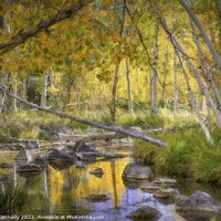 Buy canvas prints of Duck Creek Autumn by Donna Kennedy