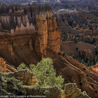 Buy canvas prints of First Light at Bryce Canyon by Donna Kennedy