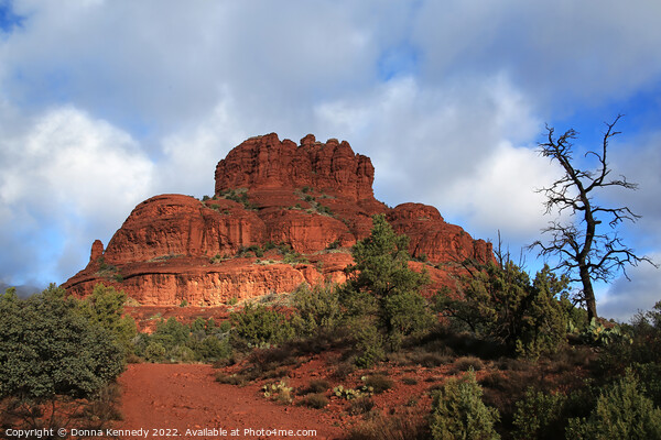 Bell Rock Picture Board by Donna Kennedy