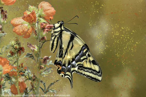 Swallowtail with Attitude Picture Board by Donna Kennedy