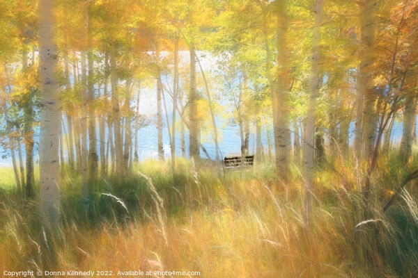 Autumn Dreams Picture Board by Donna Kennedy
