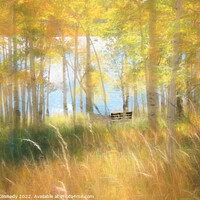 Buy canvas prints of Autumn Dreams by Donna Kennedy
