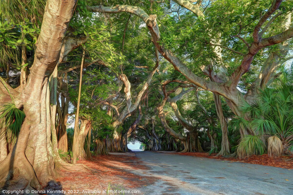 Banyan Street Picture Board by Donna Kennedy