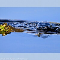 Buy canvas prints of Leap Frog by Donna Kennedy