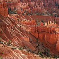 Buy canvas prints of Glowing Hoodoos by Donna Kennedy