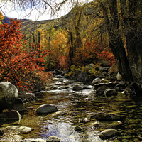 Buy canvas prints of Lamoille Creek by Donna Kennedy