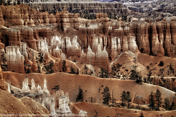 Everywhere a Hoodoo Picture Board by Donna Kennedy